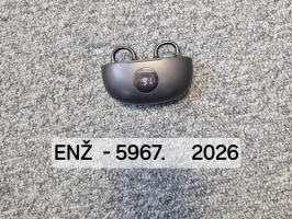 Austiņas
