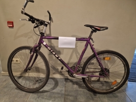 Velosipēds "Giant" violetā krāsā.