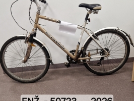 Divritenis ar uzrakstu "SCHWINN".
