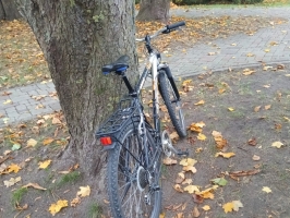 Pie koka novietots velosipēds Altrex Mistro.