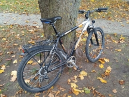 Pie koka novietots velosipēds Altrex Mistro.