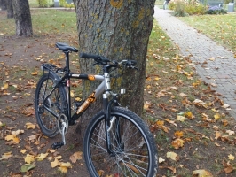 Pie koka novietots velosipēds Altrex Mistro.