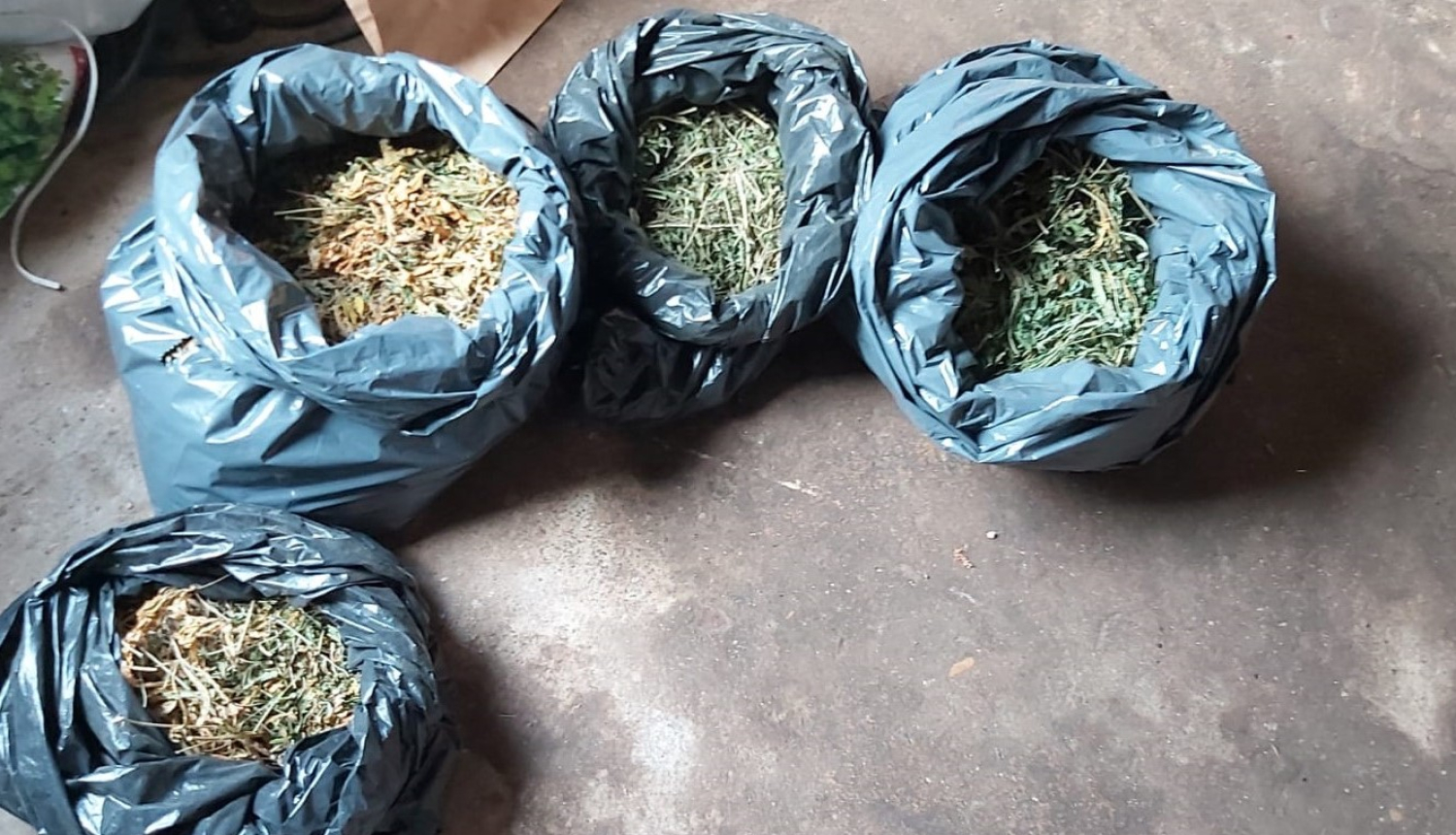 marihuana