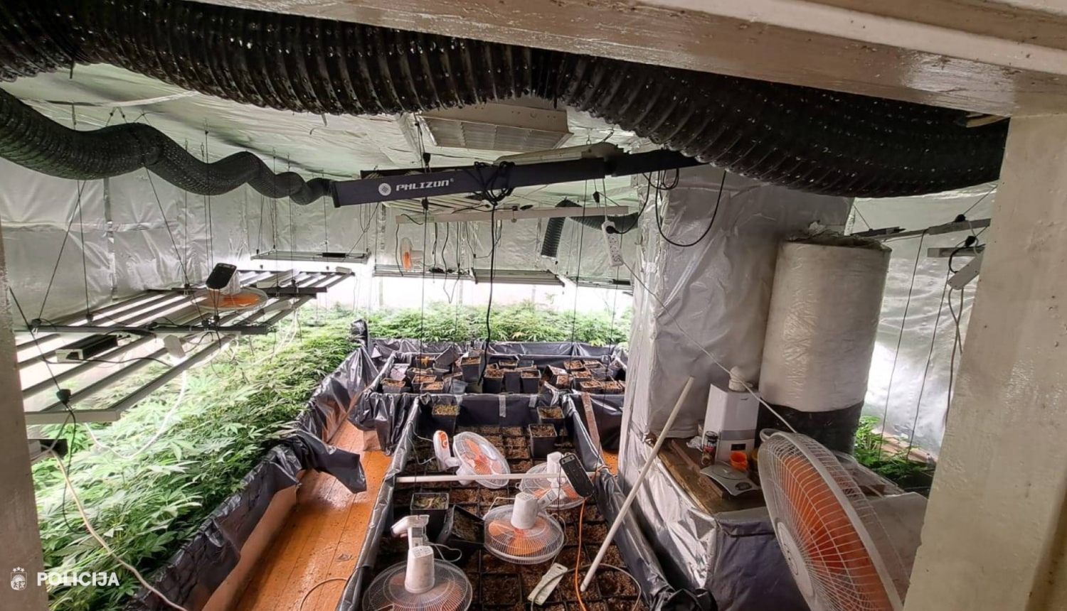 Iekštelpu audzētava ar apgaismojuma, ventilācijas un laistīšanas aprīkojumu, kur vairākās audzēšanas kastēs izvietoti augi un stādi