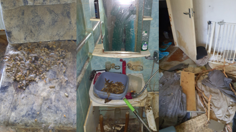 Kolāža ar trim fotogrāfijām, kurās redzamas netīras un antisanitāras telpas, piesārņota grīda, netīra izlietne un nekārtīga telpa ar dažādiem priekšmetiem