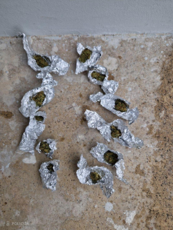 pacinas