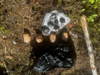 kokaīns