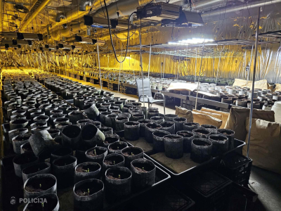 narkotiku audzētava