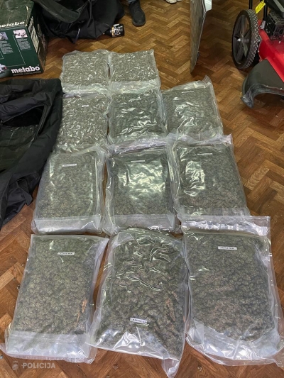 Rīgā pie narkodīlera atrasti 13 kilogrami marihuānas