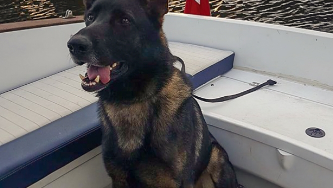 Policisti aiztur Ilūkstes ielas narkotiku tirgotāju; dienesta suns Vatsons atrod narkotikas