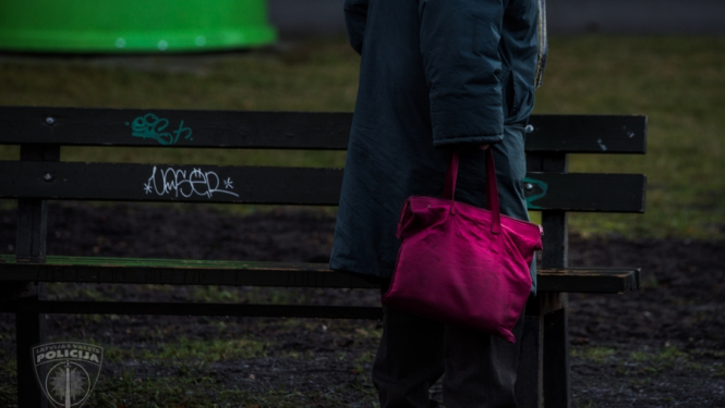Rūdīta kabatzagle Imantā apzog sirmgalvi un nekavējoties tiek notverta