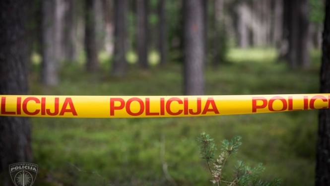 policijas lenta mežā