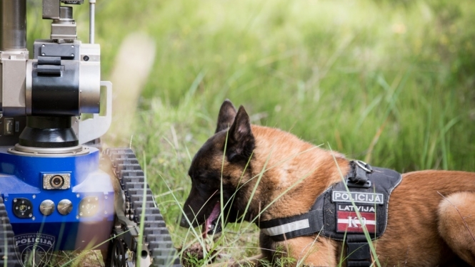 Valsts policijas pretterorisma vienības OMEGA suns guļ zālē blakus robotam