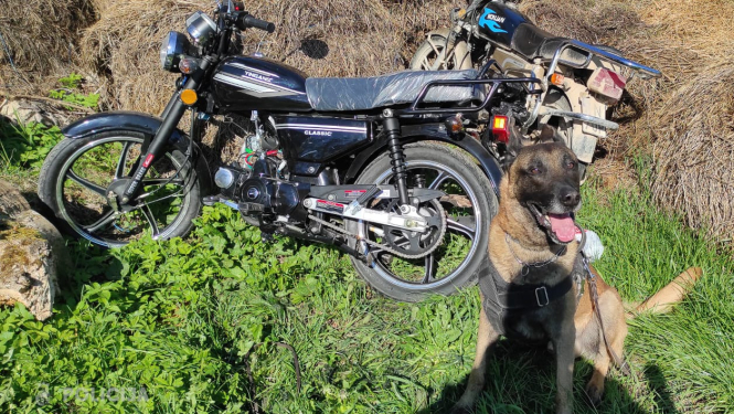 Valsts policija ar dienesta suni Marko pa karstām pēdām aiztur zagļus un atgūst zagtās mantas