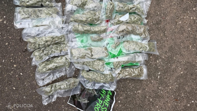 Uz asfalta izkārtoti vairāki caurspīdīgi vakuuma maisiņi ar zaļganas augu izcelsmes vielas iepakojumiem.