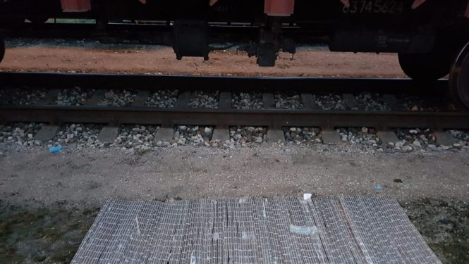 Rīgā kravas vilciena vagonā starp baļķiem atrastas nelegālās cigaretes