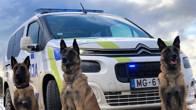 Valsts policijas Kinologu nodaļas Kurzemes grupas dienesta suņi Marko, Yaro un Enzo