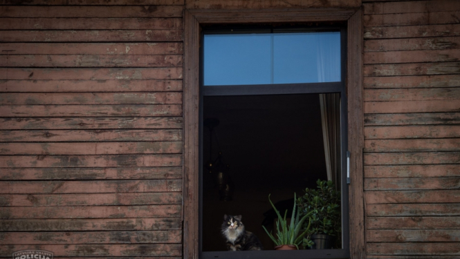 Atklājot Siguldas privātmāju apzagšanas sēriju, policisti atgūst visas nozagtās mantas