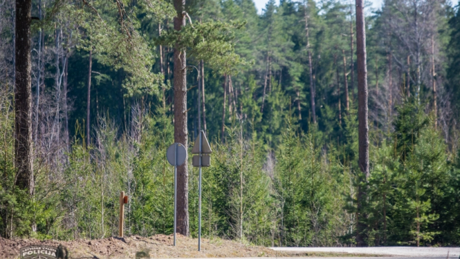 Policisti “pa karstām pēdām” aiztur mežā iebēgušu mājokļa apzadzēju