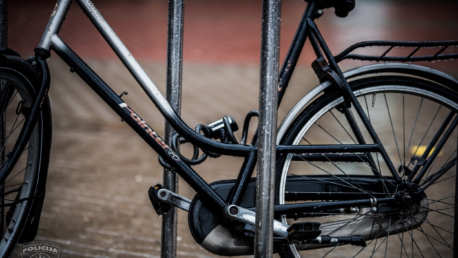 Aizturējām rūdītu velozagli