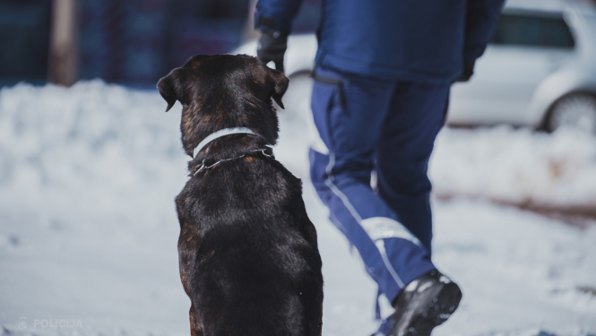 Dienesta suns no muguras ar Valsts policijas darbinieku