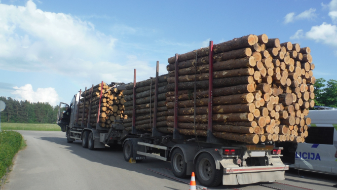 Kravas pārvadātājs