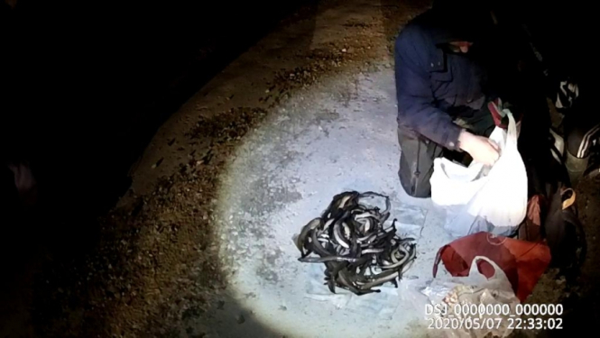 Valsts policija konstatē pārkāpumus nēģu zvejas lieguma laikā; videi nodarītais kaitējums 4240 eiro