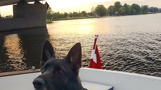 Policisti aiztur Ilūkstes ielas narkotiku tirgotāju; dienesta suns Vatsons atrod narkotikas