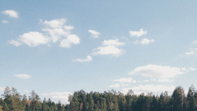 Trīs mazgadīgi bērni guļ uz koka laipiņas, kas atrodas ezerā. Otrā ezera krastā redzams mežs.