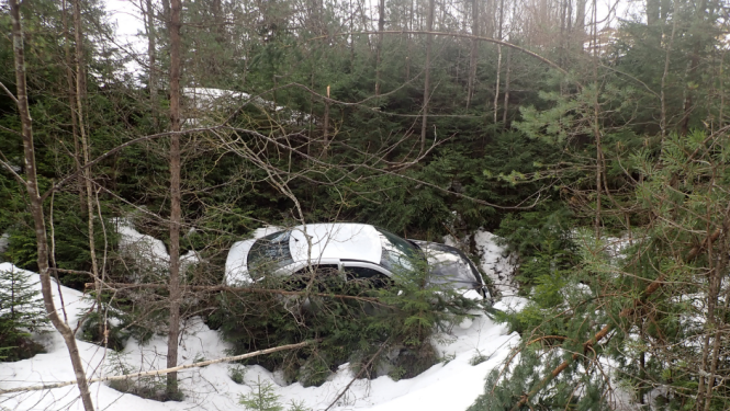 Pelēka automašīna avarējusi starp eglēm un priedēm sniega pilnā grāvī
