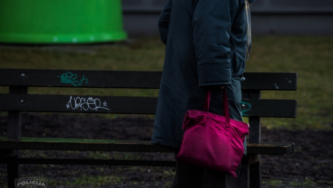 Rūdīta kabatzagle Imantā apzog sirmgalvi un nekavējoties tiek notverta