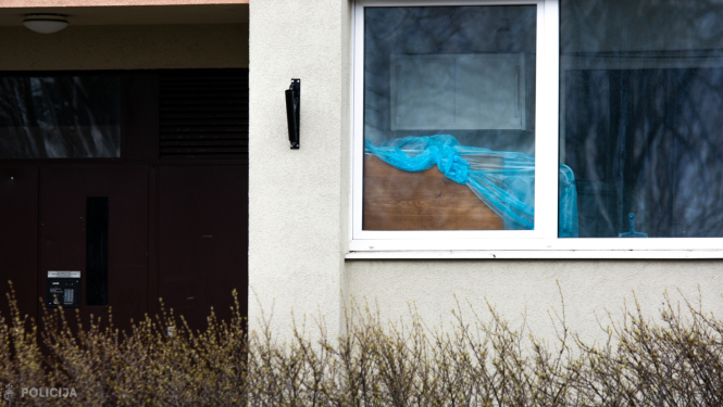 Mājas logs un ieejas durvis