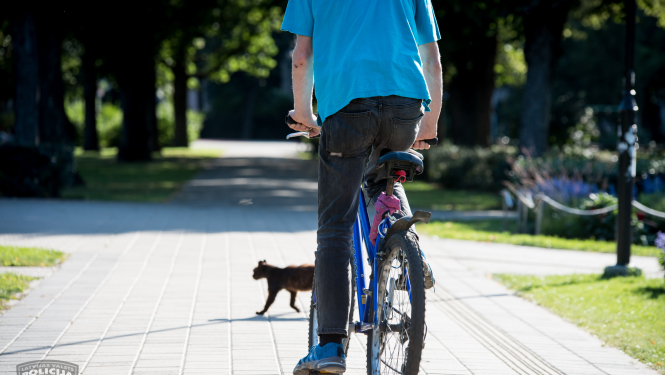 velosipēds piedalās satiksmē