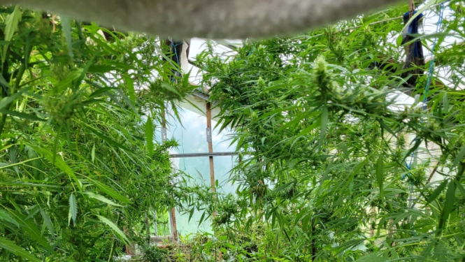  Rēzeknes novadā likumsargi izņem narkotiskās vielas, šauteni un patronas