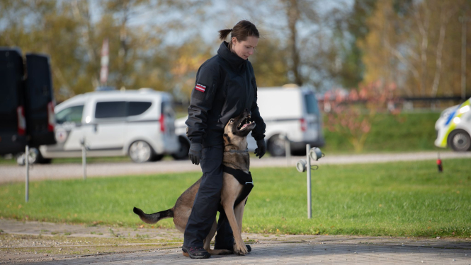 Kinologa un dienesta suņa paraugdemonstrējums 