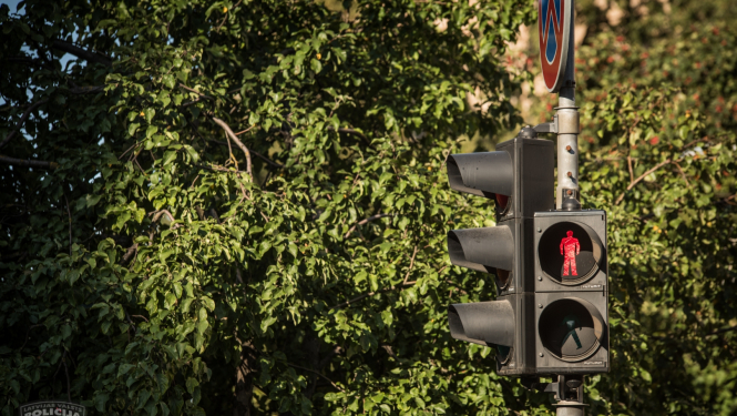 Luksofors, kurā redzams gājējiem sarkanais aizliedzošais signāls, fonā koks ar zaļām lapām