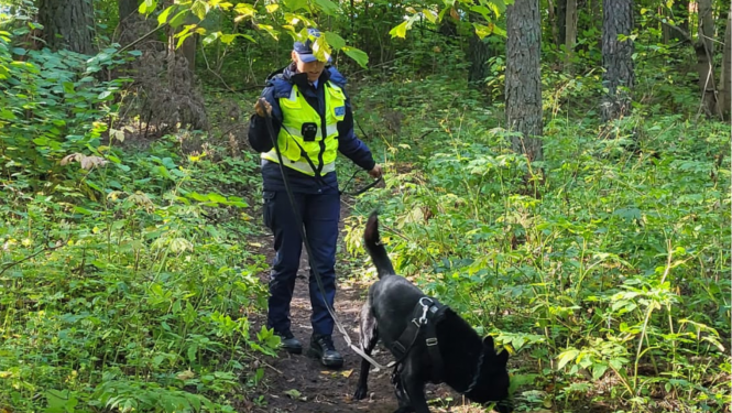 Tukuma iecirkņa kinoloģe Sintija kopā ar savu dienesta suni Hanteru iet pa meža taciņu