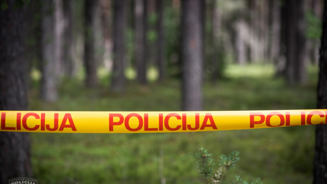 policijas lenta mežā