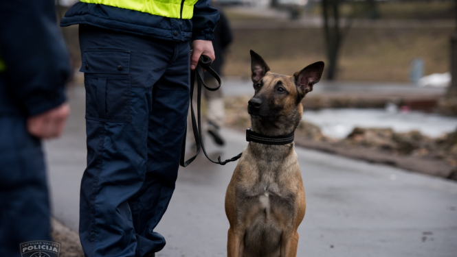 Policists, kuram pie kājām sēž suns