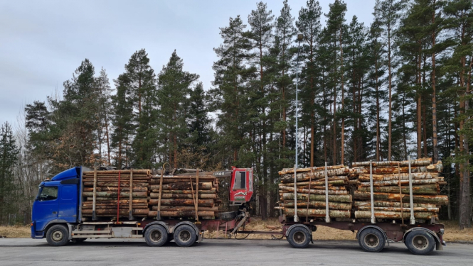 kravas masas kontrole