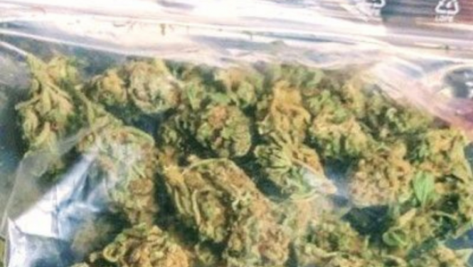 Zaļganbrūnas krāsas augu valsts izcelsmes viela caurspīdīgā plastikāta maisiņā