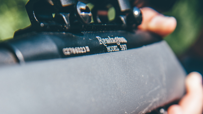 Ierocis. Photo by Harrison Haines from Pexels