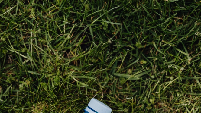 Zaļā zālē nomesta daļēji saplacināta tukša, zila un aizskrūvēta plastmasas pudele