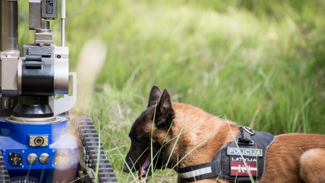 Valsts policijas pretterorisma vienības OMEGA suns guļ zālē blakus robotam