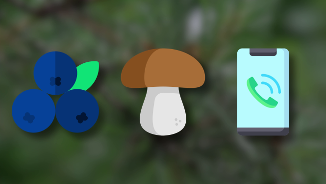 Gudra sēņotāja un ogotāja komplekts