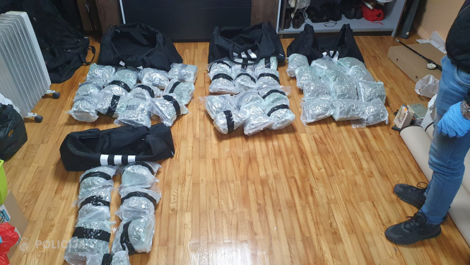 marihuāna, narkotikas