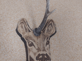Manta