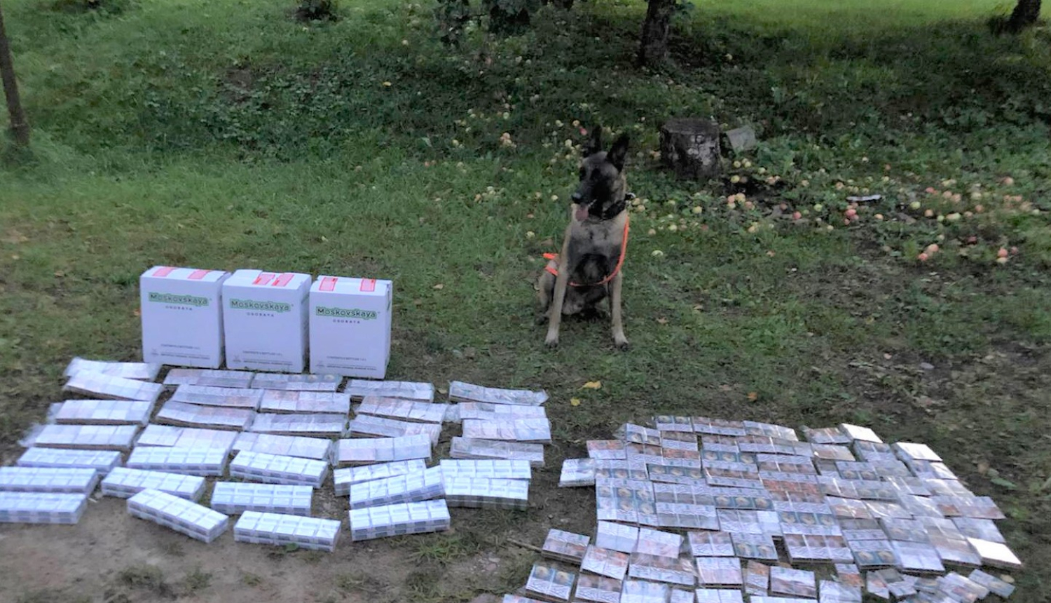 Marko pie cigaretēm