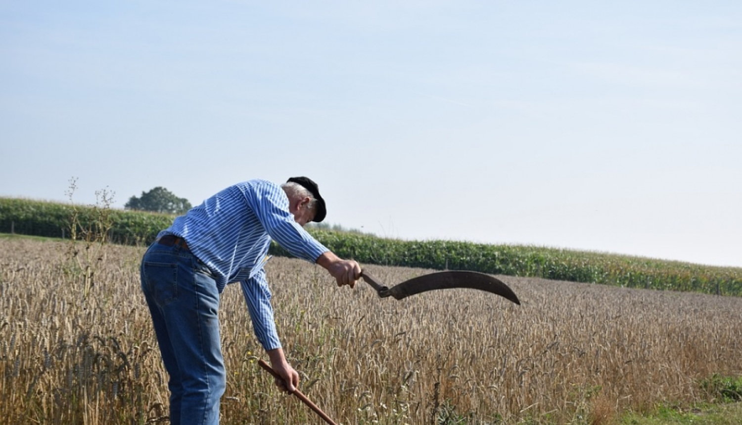 Piedraudot ar izkapts asmeni, vīrietis aplaupa veikalu Ķengaragā