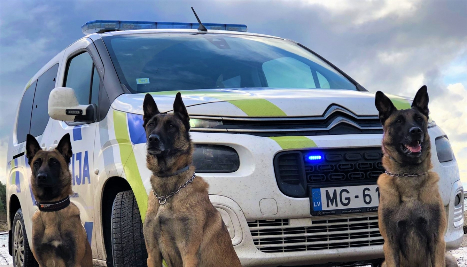 Valsts policijas Kinologu nodaļas Kurzemes grupas dienesta suņi Marko, Yaro un Enzo